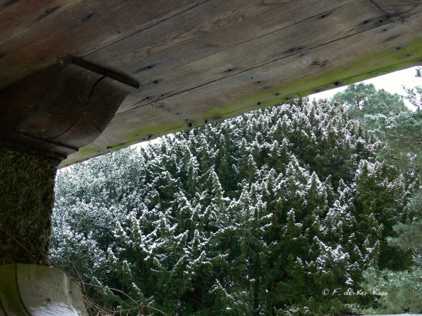 Bois des Moutiers Winterreise (46)